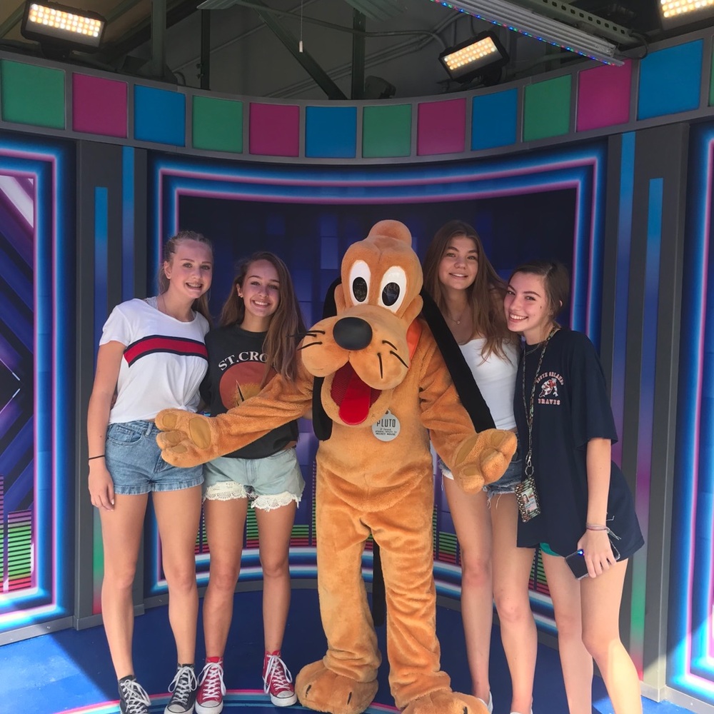 Meet your Posher, Izzy